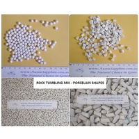 Porcelain Ceramic Polishing Media - Rock Tumbler Mix. 1kg Lot